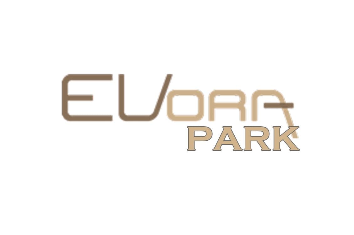 Teknik Yapı Evora Park Kuru Temizleme - Dry Prof Clean Kuru Temizleme